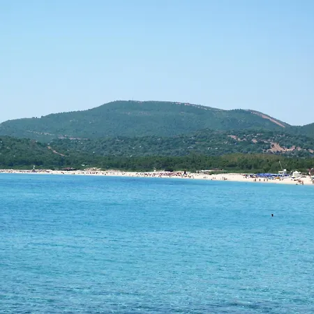 Eucalipto By Interhome *